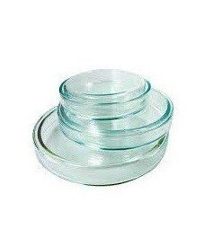 Boîte de Pétri en verre de 80 mm de diamètre