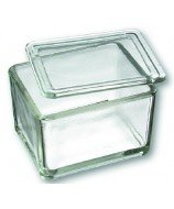 Glass Staining Basin with Lid for 10-20 Microscope Slides