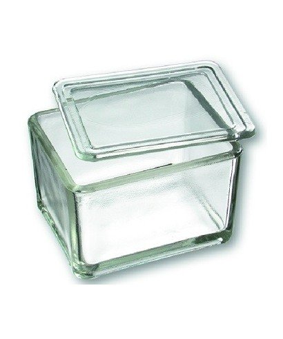 Glass Staining Basin with Lid for 10-20 Microscope Slides
