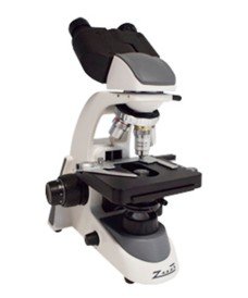 Microscopio binocular 300B para educación: óptica acromática, cabezal 30°/360° y LED de 1 W regulable.