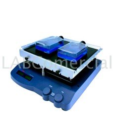 See-Saw Rocking Shaker,...