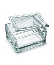 Boîte à coloration Schieferdecker en verre pour 10 lames porte-objets