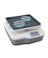 Digital Rocking Shaker SK-R1807-S with 7° rocking angle, 10–80 rpm speed range and 2 kg load capacity.