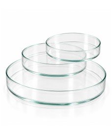 Boîte de Petri en verre sodocalcique