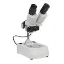 Stereo Microscopes